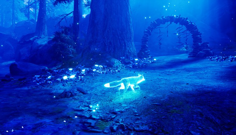 Spirit-Pic2