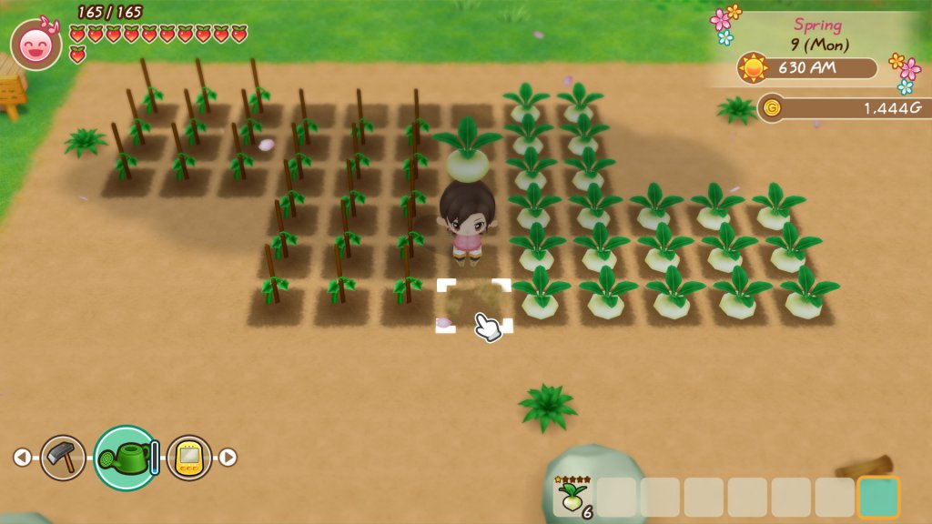 Story of Seasons: Friends of Mineral Town