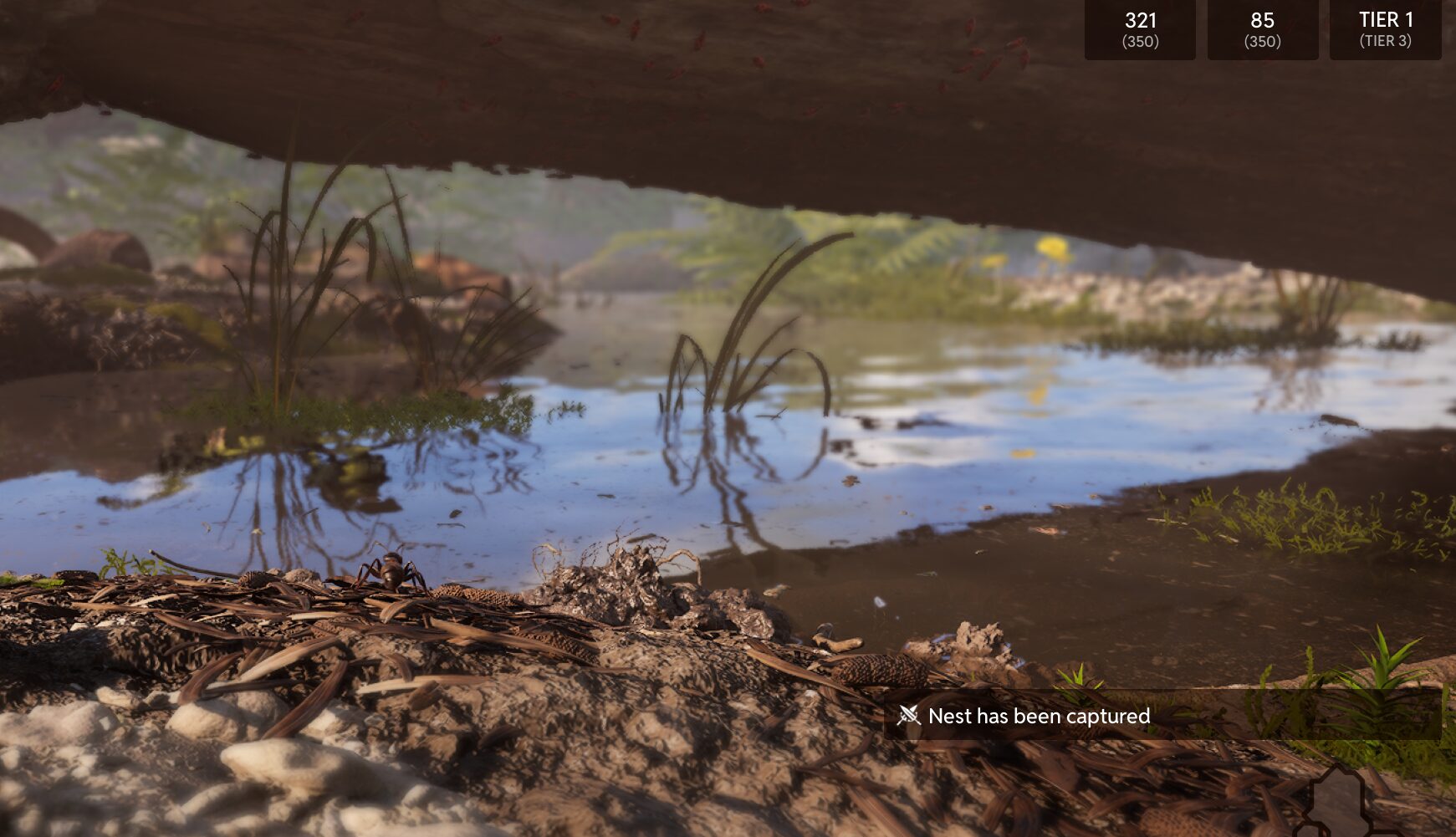 Empire of the Ants Nest Capture